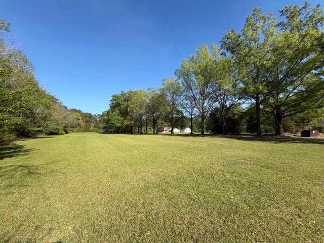Featured image 4
